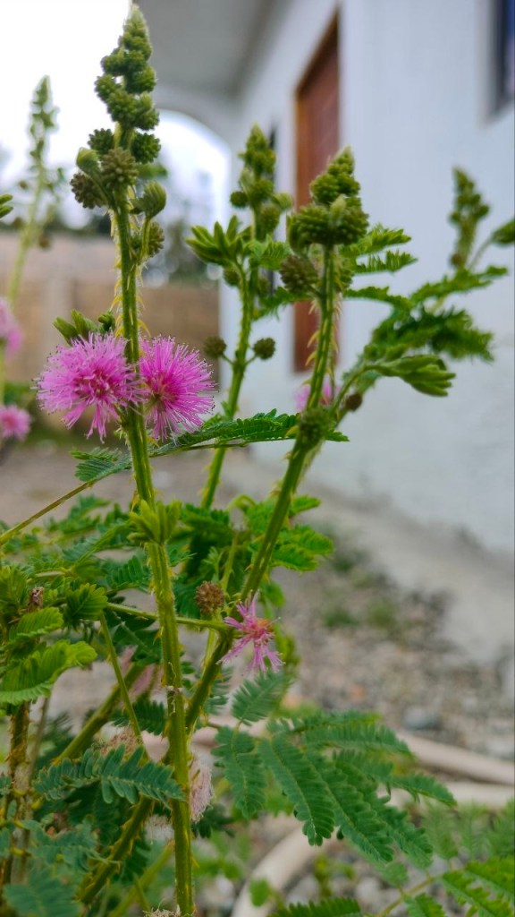 Moving Out of Our First&nbsp;Apartment