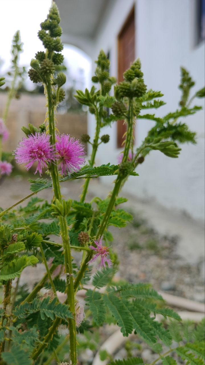 Moving Out of Our First&nbsp;Apartment